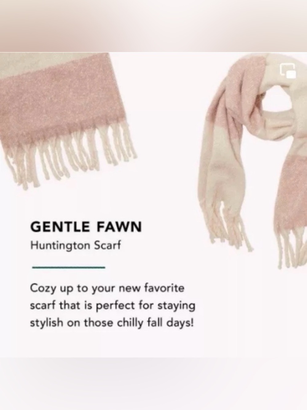NWT Gentle Fawn Huntington Cozy Warm Colorblock scarf